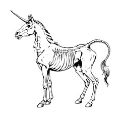 Monochrome Unicorn Anatomy with Skeletal
