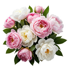 Elegant arrangement of pink and white peony blossoms with green leaves