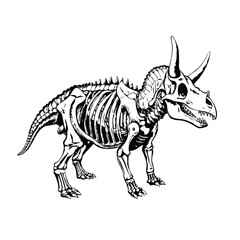 Technical Stipple Engraving of a Triceratops: Skeletal and Muscular Anatomy