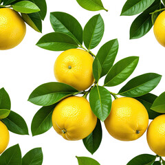 Ripe lemons surrounded by green leaves on a black background