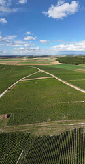 Trois-Puits, Reims, Marne, Grand-Est, France, August, 28th, 2025, Champagne Area, Breathtaking aerial shot of a vast vineyard with lush greenery and winding paths under a clear blue sky.