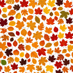 Autumnal Leaf Mosaic Multicolored fallen foliage creates a rich, vibrant scene