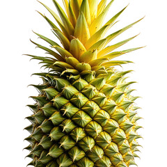 Ripe pineapple with spiky rind and green crown against black backdrop