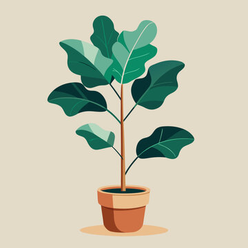 Stylized fiddle leaf fig plant in a terracotta pot