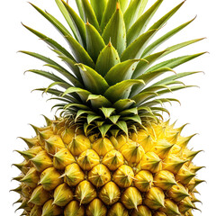 Ripe pineapple, bright and fresh. Spiky peel, lush green crown detail