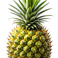 Textured yellow pineapple with green spiky leaves on a black background