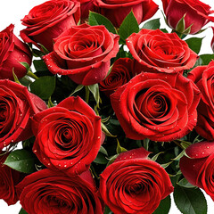 Lush bunch of blooming red roses with vibrant green leaves