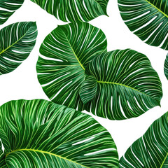 Green leaves with light stripes on a black background, botanical