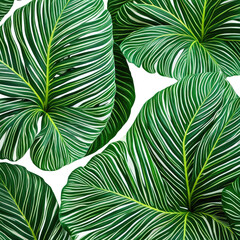 Lush foliage Green leaves with vibrant white stripe patterns