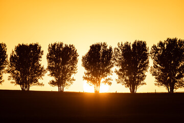Sunset at Snake River Plain. Sunset Road + U.S. Highway 26 (US 26), Blackfoot is a city in and the...