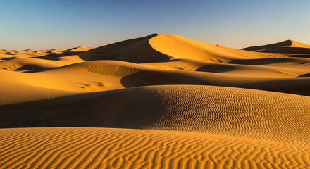 Golden desert landscape featuring undulating sand dunes under a clear blue sky, showcasing the vastness and tranquility of the arid environment with warm sunlight