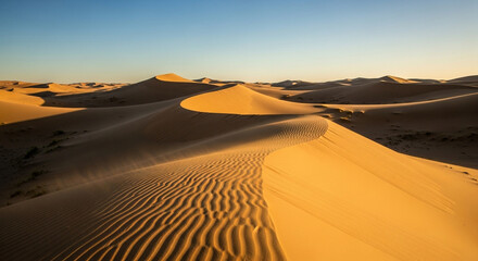 Expansive desert vista with rolling sand dunes under a clear blue sky, highlighting the serene beauty and vastness of the arid landscape at golden hour