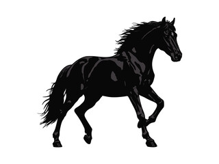 vector illustration of a horse with a white background