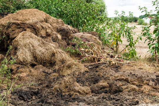 tas de fumier dans la campagne bordelaise