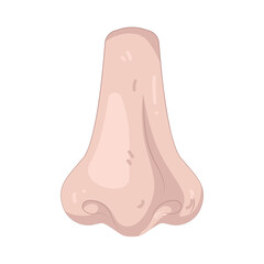 Illustration of Human Nose Organ