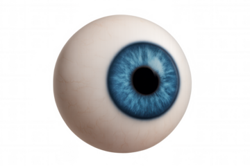 Human eyeball with blue iris, detailed eye anatomy and vision concept on transparent background