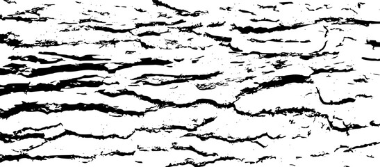 Tree bark texture © pikovit