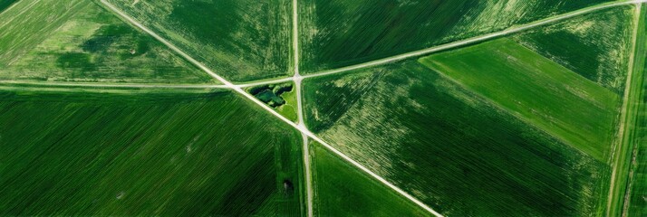 Aerial View of Agricultural Fields Intersected by Dirt Roads Showcasing Vibrant Green Farmland in Early Summer