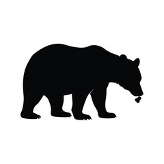 Silhouette of a large bear with a skull at its mouth, bear sniffing ground silhouette vector illustration