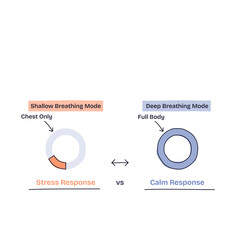 Breathing techniques comparison shows shallow vs deep breathing with stress and calm response, highlighting chest and full body breathing, transparent background. Doodle style diagram