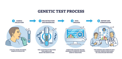Genetic test process shows sample collection, DNA extraction, and data analysis steps with clear icons, transparent background.