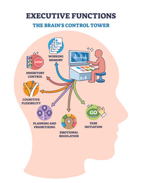 Executive functions overview shows a brain outline with icons for working memory, inhibitory control, and planning, transparent background.