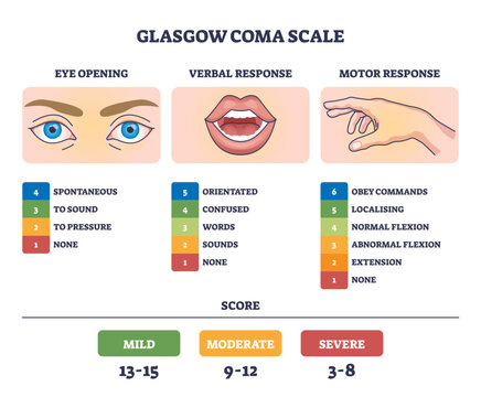 Glasgow Coma Scale diagram shows eye, mouth, and hand icons to outline levels of consciousness assessment, transparent background.