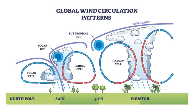 Global wind circulation patterns show the movement of air in Hadley, Ferrel, and Polar cells with arrows and jet streams, transparent background.