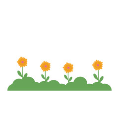 Fototapeta premium Nature Grass Decoration