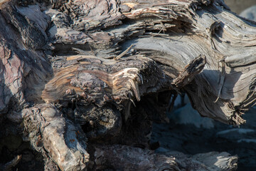 Textured Wood Grain