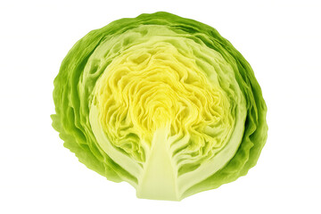 Iceberg lettuce half, fresh green vegetable showing texture of leaves, healthy eating concept, transparent background
