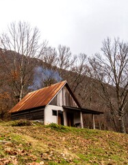 Fototapeta premium Isolated wooden cabin nestled on a hillside with rusty roof