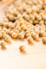 大豆と竹笊