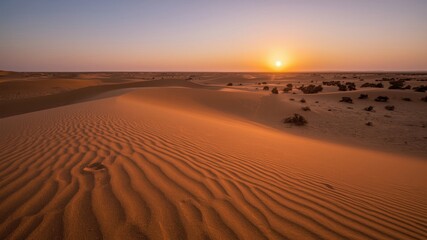 desert at sunset