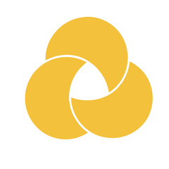 Venn diagram three overlapping circles chart. Business presentation venn vector chart. Spiral infographic. Vector image. business strategy, theory basic operation, infographic chart, logic analysis.

