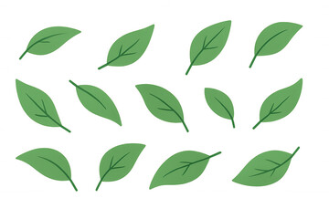 Fototapeta premium Green leaves vector illustration set with a variety of simple foliage elements, transparent background
