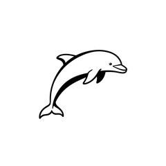 dolphin isolated on white background
