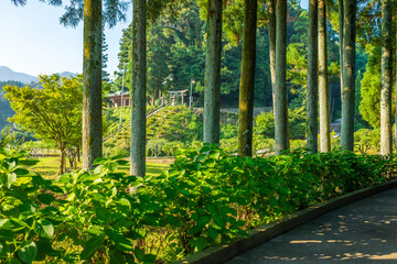 臼杵石仏の入口