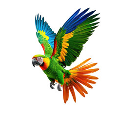 Obraz premium Vibrant parrot mid-flight. Colorful plumage, dark background