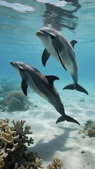 Obraz premium Underwater Ocean Scene