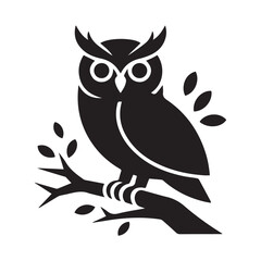 owl on branch