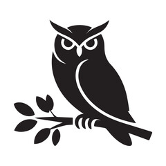 owl sitting on branch