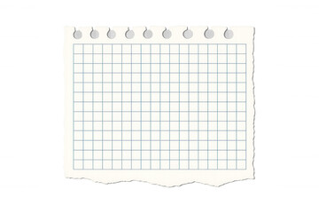 Graph paper with perforated edges, ideal for jotting down notes, messages, or educational material. Background is see-through