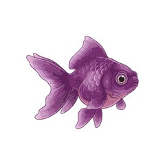 Goldfish with a white background