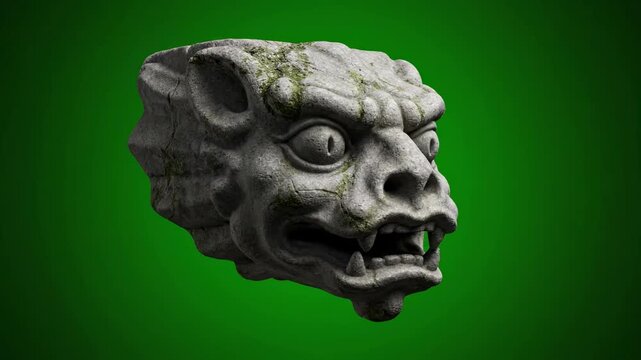 skull of the head of a woman