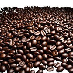 Roasted coffee beans, a rich pile, shining and full. Dark and enticing