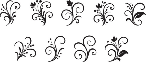 Fototapeta premium Collection of Black Floral Swirl Ornaments