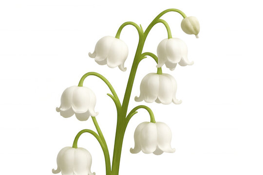 Lily of the valley flowers blooming on a green stem, representing spring symbolism and fresh purity, with a transparent background - Powered by Adobe