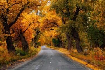 Fototapeta premium Autumn road through vibrant yellow and orange forest showcasing the beauty of the fall season in a serene natural landscape