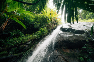 Small waterfall in the natural forest, water source and environmental conservation